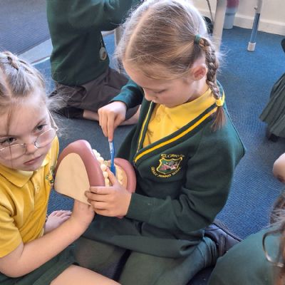 Healthy teeth session