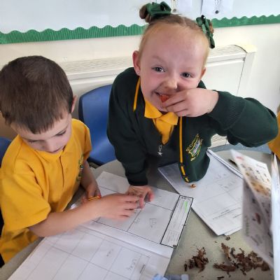 Science- using our senses